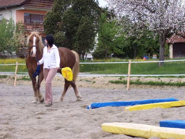 Fotoalbum/100_4413.JPG Fotoalbum/100_4413.JPG