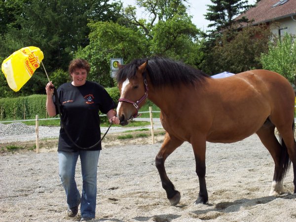 Fotoalbum/100_4437.JPG Fotoalbum/100_4437.JPG