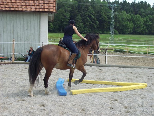 Fotoalbum/100_4778.JPG Fotoalbum/100_4778.JPG