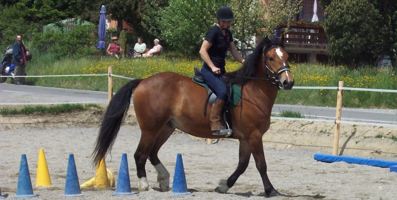 Kurse/g-titel3.jpg Kurse/g-titel3.jpg